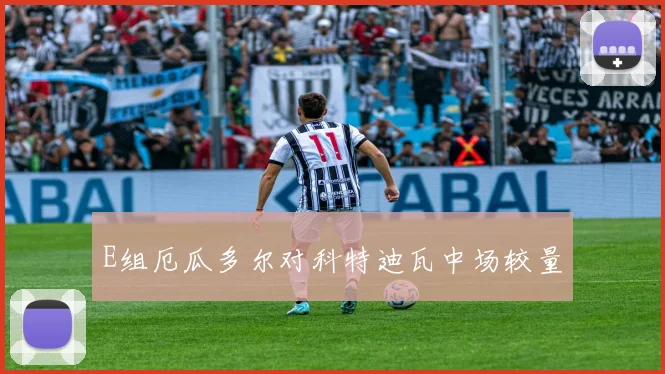 E组厄瓜多尔对科特迪瓦中场较量