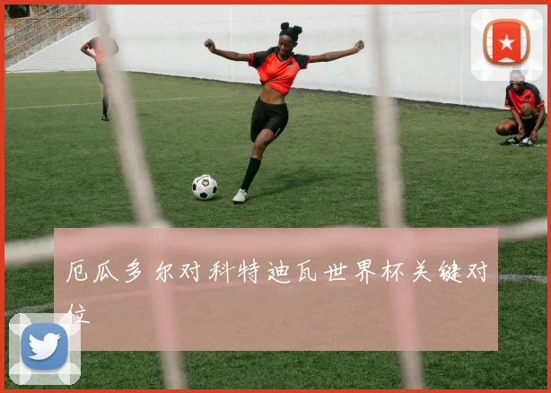 厄瓜多尔对科特迪瓦世界杯关键对位