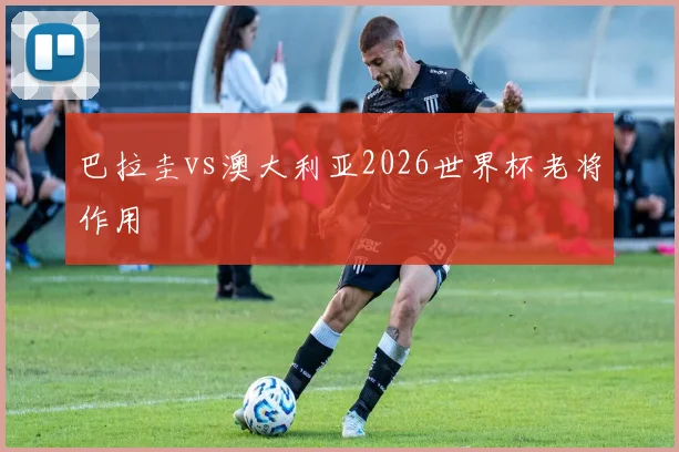 巴拉圭vs澳大利亚2026世界杯老将作用