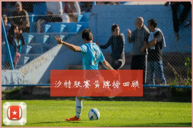 沙特联赛黄牌榜回顾