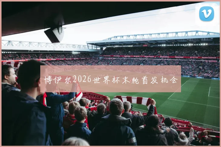 博伊尔2026世界杯末轮首发机会