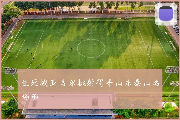 生死战亚马尔挑射得手山东泰山名场面