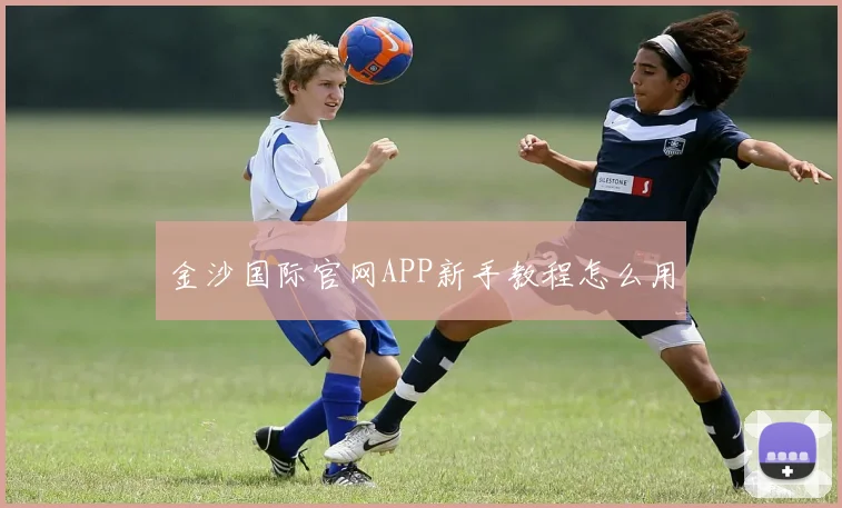 金沙国际官网APP新手教程怎么用