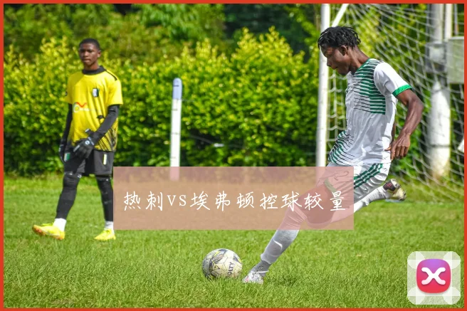 热刺vs埃弗顿控球较量